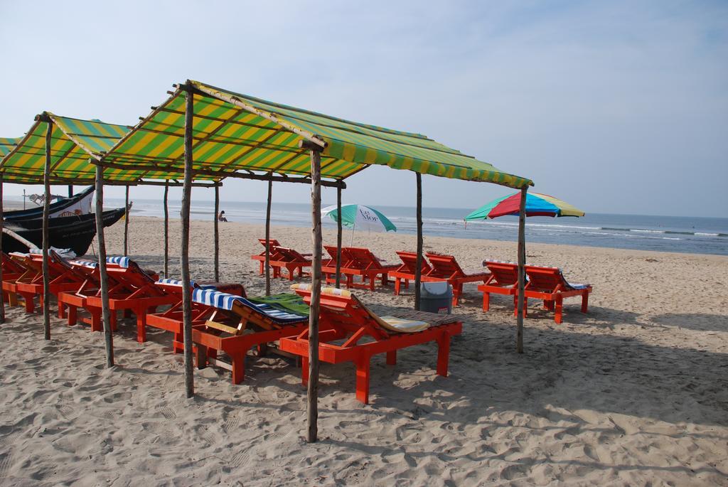 Molly'S Nest Hotel Mandrem Ngoại thất bức ảnh