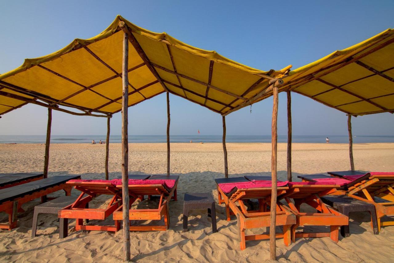 Molly'S Nest Hotel Mandrem Ngoại thất bức ảnh