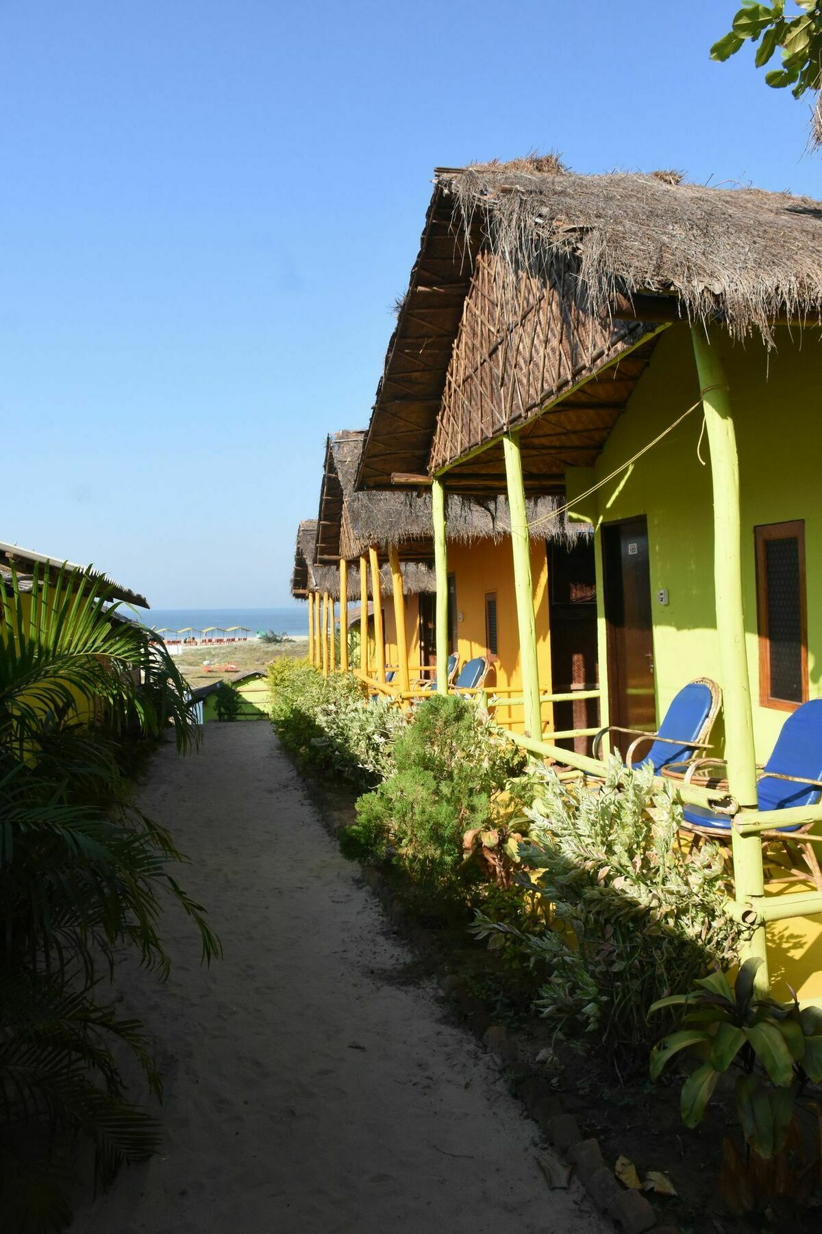 Molly'S Nest Hotel Mandrem Ngoại thất bức ảnh